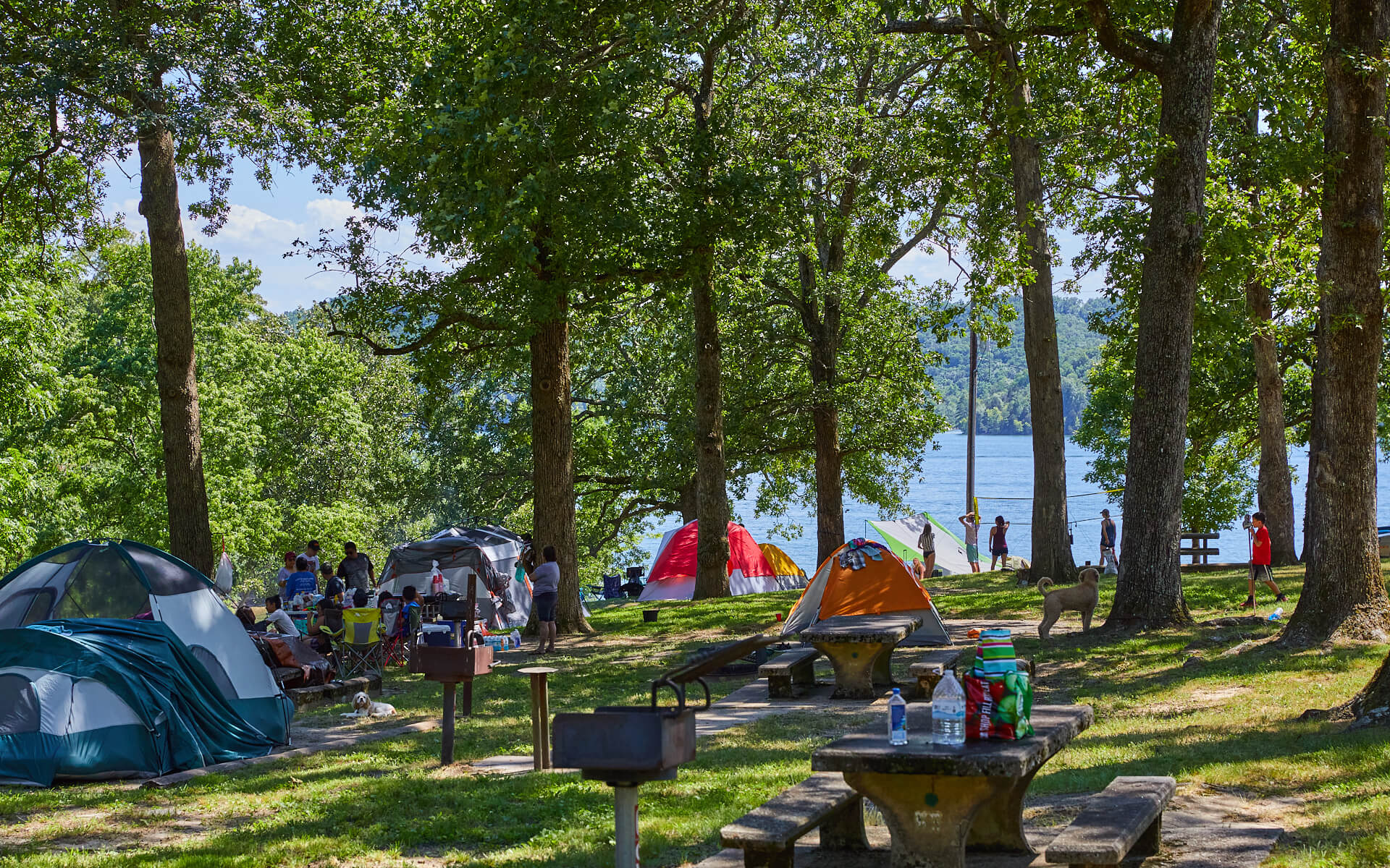 Camping on Dale Hollow Lake